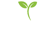 Grow Digital Media Services